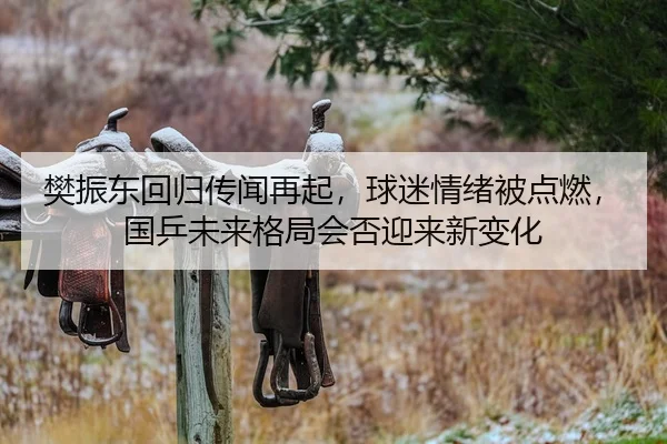 樊振东回归传闻再起，球迷情绪被点燃，国乒未来格局会否迎来新变化 - 相关报道缩略图
